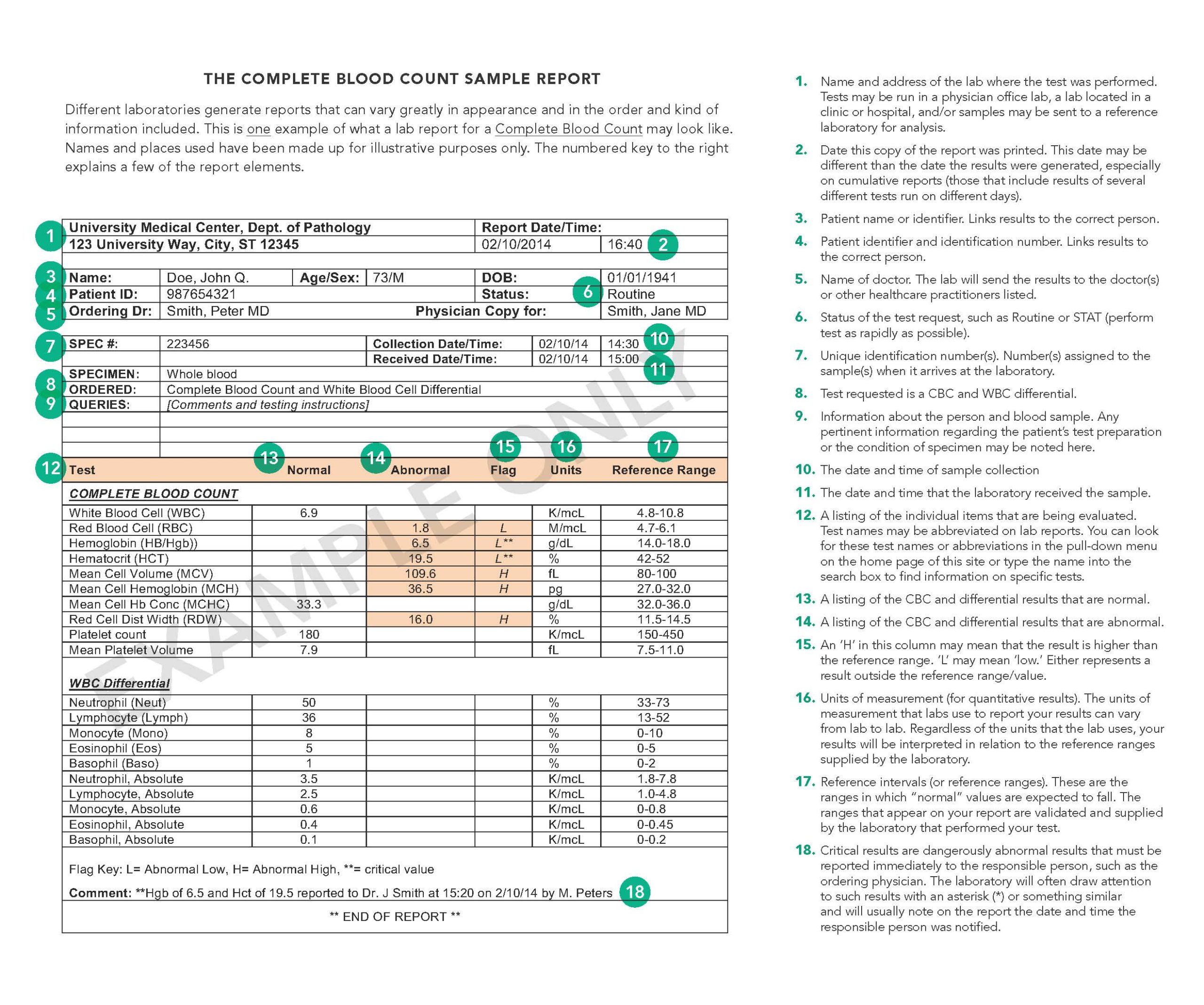 Deciphering Your Lab Report - Testing.com In Dr Test Report Template