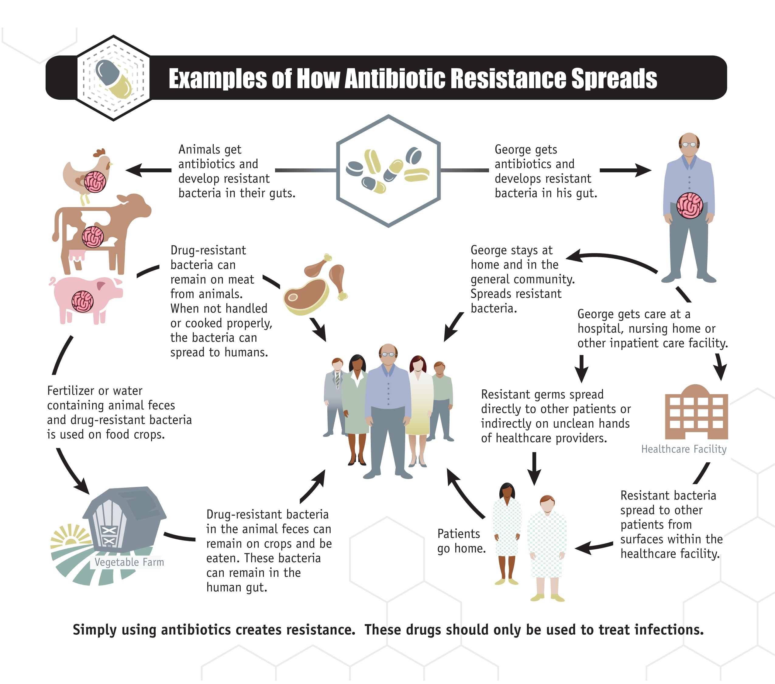 How antibiotic resistance in bacteria spreads