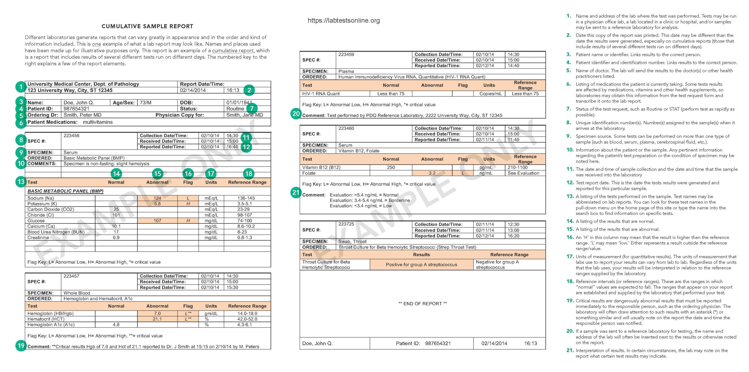 Deciphering Your Lab Report - Testing.com Regarding Dr Test Report Template