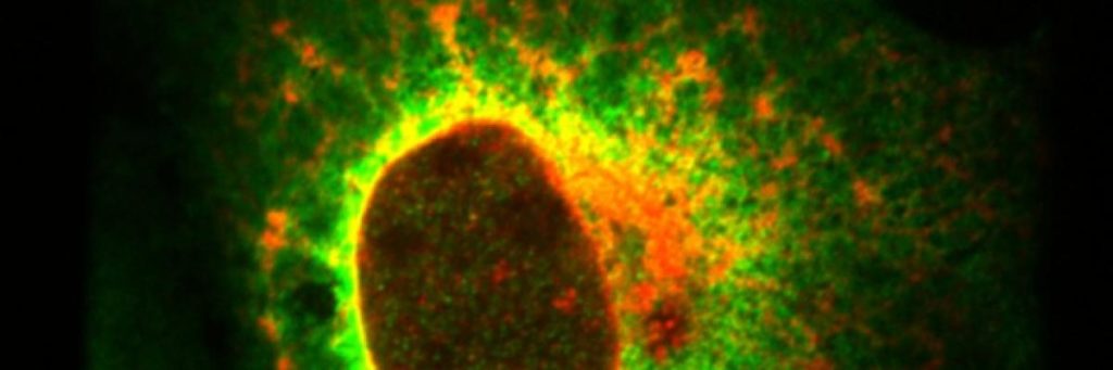 Image credit: NCI, Ewa Krawczyk Image credit: NCI, Ewa Krawczyk
