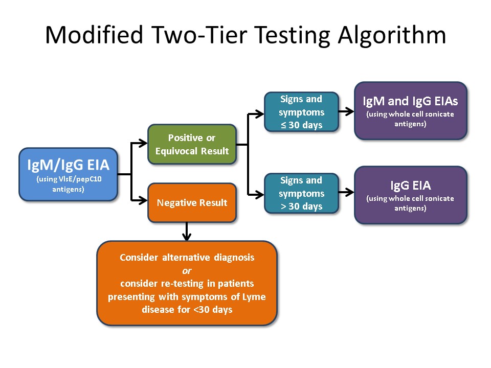 Modified two-tier testing algorithm for Lyme